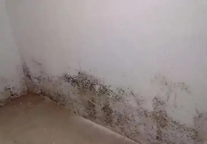 防水≠防滲！80%的人都弄錯(cuò)了！