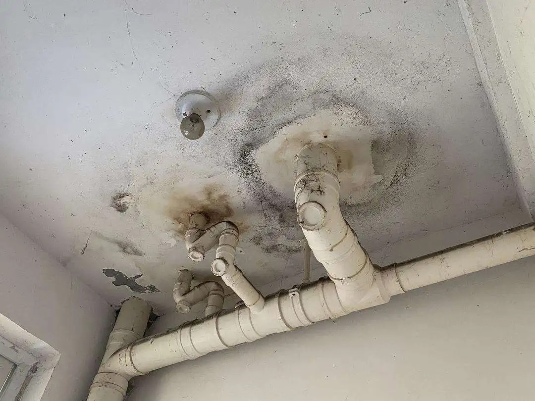 防水做了等于白做？青龍防水教你避開施工8大坑，讓工程不再漏水！